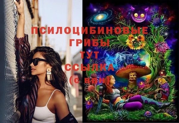 бошки Армянск
